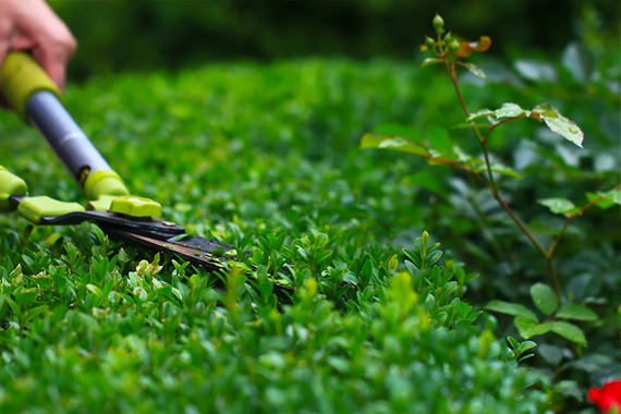 paysagiste entretien jardin 78 paysagiste entretien jardin 78