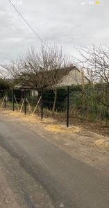 taille de haie bazemont - avant