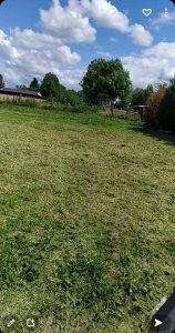 tonte pelouse plaisir