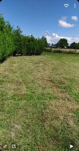 tonte pelouse plaisir 78