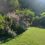 entretien-jardin-aulnay-sur-mauldre entretien jardin aulnay-sur-mauldre