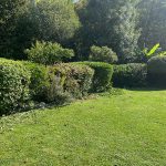 entretien-jardin-aulnay-sur-mauldre-2 entretien jardin aulnay-sur-mauldre 78