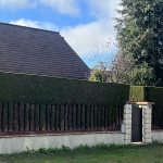 taille-de-haie-les-alluets-le-roi taille de haie les-alluets-le-roi