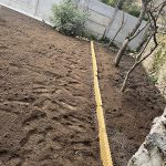 creation-allee-orgeval-5 creation allee orgeval 78