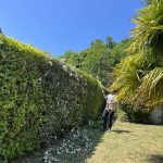 paysagiste drocourt taille haie 78440 paysagiste 78440