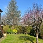 entretien jardin maule