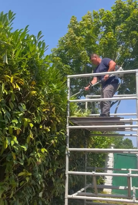 taille haie villennes-sur-seine