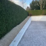 taille-haie-orgeval-78 taille de haie orgeval 78