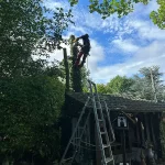 abattage-arbre-triel-sur-seine-78-2 abattage arbre triel-sur-seine 78