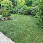 pelouse-rouleaux-medan pelouse rouleaux medan