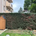 Taille de haie Achères a Achéres 78260 - vue generale