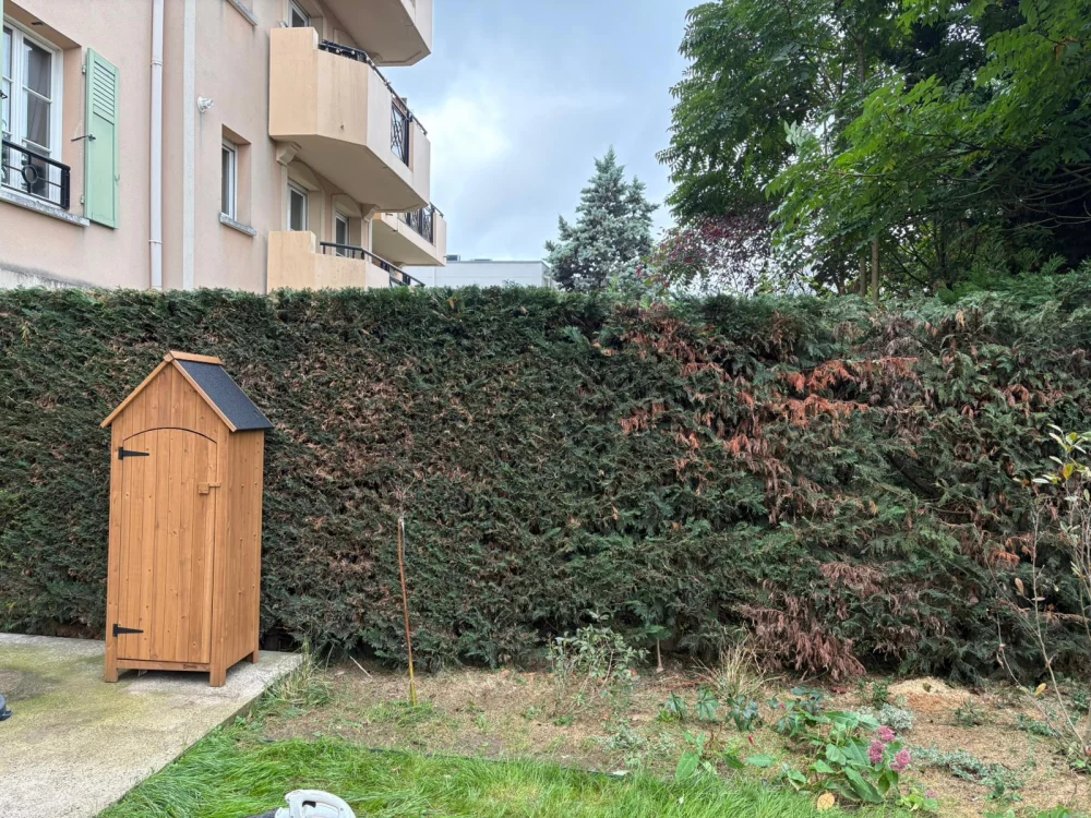 Taille de haie Achères a Achéres 78260 - vue generale