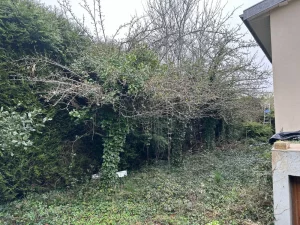 Entretien d'un jardin en friche Andrésy a Andrésy 78570 - vue generale