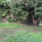 Anti rhizome et pelouse en semence à Andrésy – Aménagement paysager complet a Andrésy - vue generale