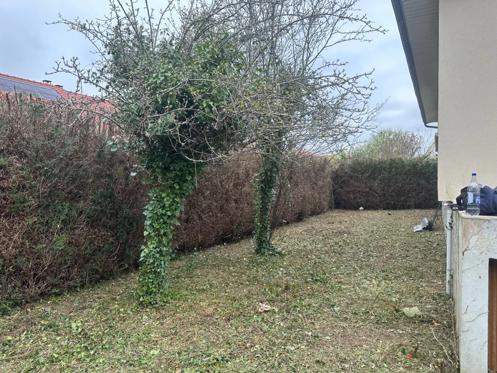 Entretien d'un jardin en friche Andrésy Andrésy 78570 - detail