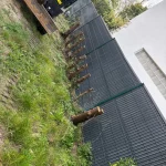 Anti rhizome et pelouse en semence à Andrésy – Aménagement paysager complet Andrésy - detail