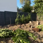 Anti rhizome et pelouse en semence à Andrésy – Aménagement paysager complet Andrésy - resultat final