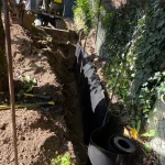 Anti rhizome et pelouse en semence à Andrésy – Aménagement paysager complet Andrésy - photo 8