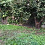 Anti rhizome et pelouse en semence à Andrésy – Aménagement paysager complet Andrésy - photo 10