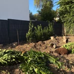 Anti rhizome et pelouse en semence à Andrésy – Aménagement paysager complet Andrésy - photo 15