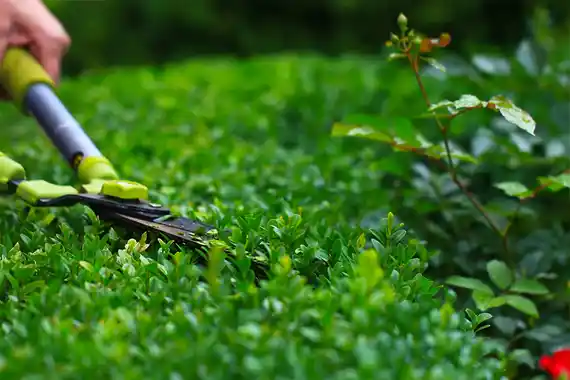 paysagiste entretien jardin 78